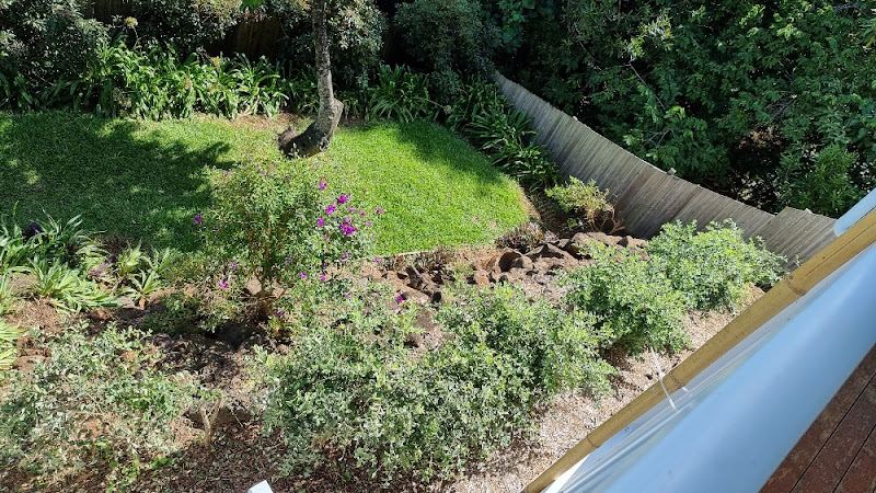 Lush green lawn maintained by TC's Mowing in Mitchelton