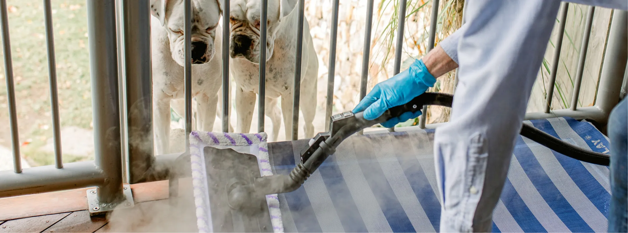 Steam cleaning result Brisbane