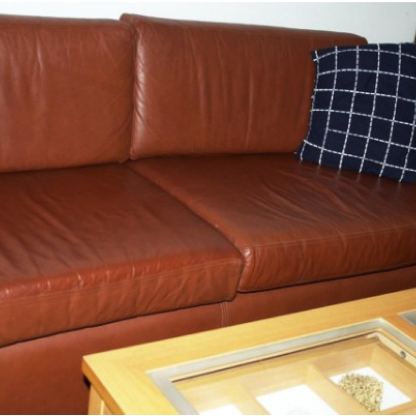 After carpet cleaning Brisbane