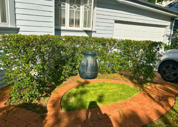 Garden after clean-up
