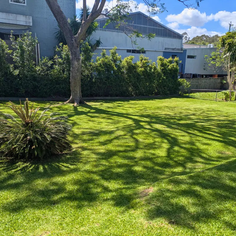The Green Standard lawn and garden work in Brisbane