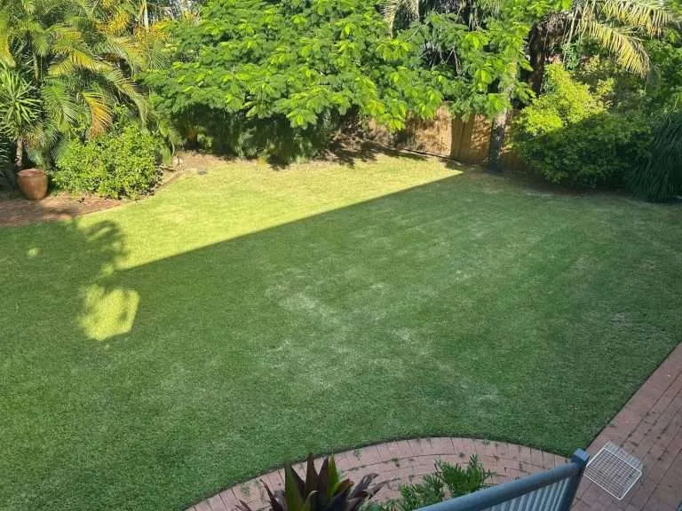 The Green Standard lawn and garden work in Brisbane