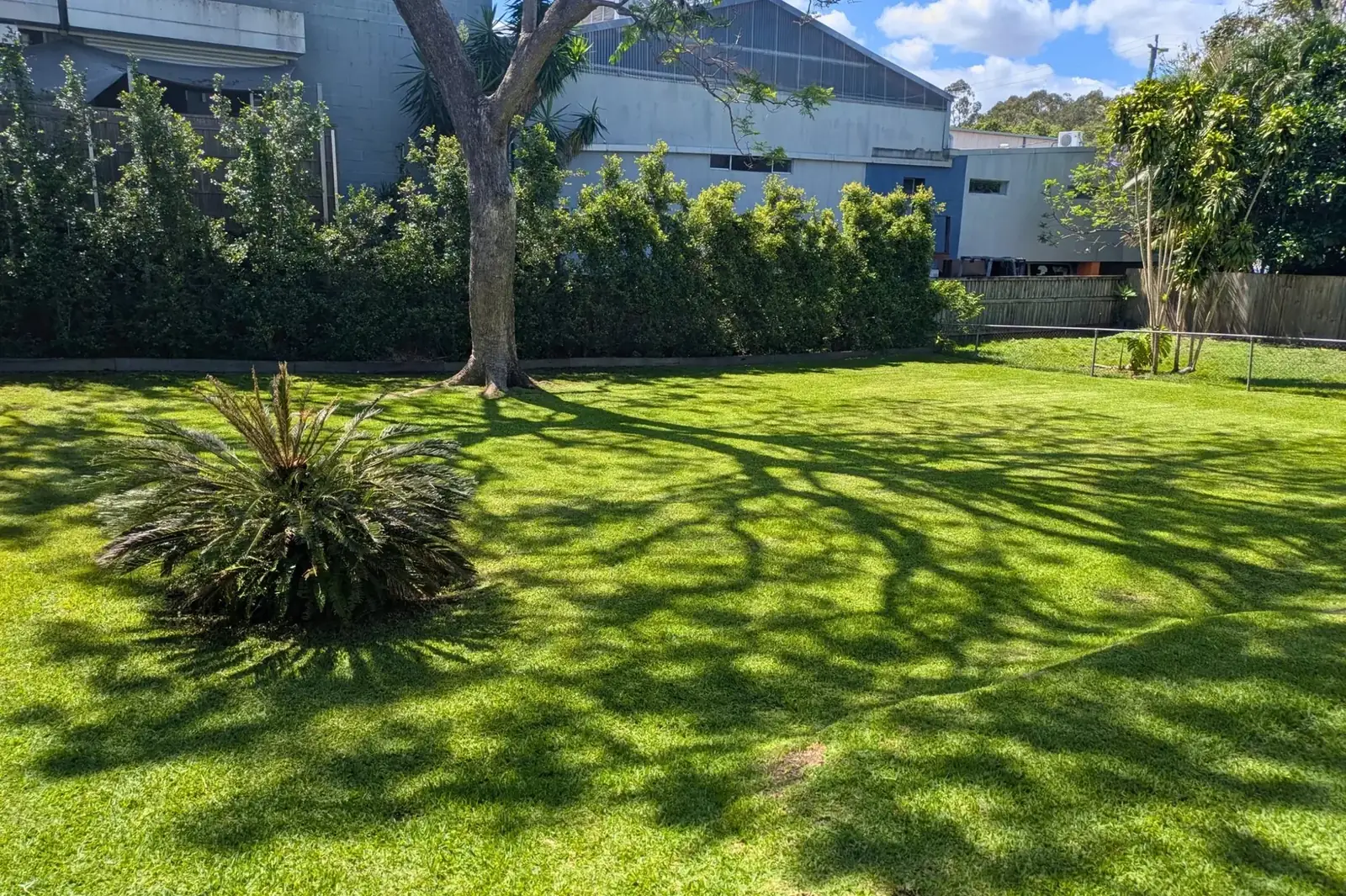 The Green Standard team maintaining a Brisbane lawn and garden