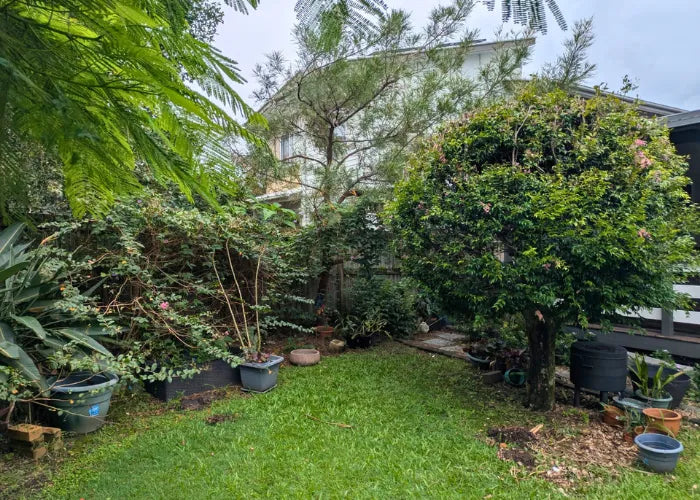 Lawn and garden before maintenance