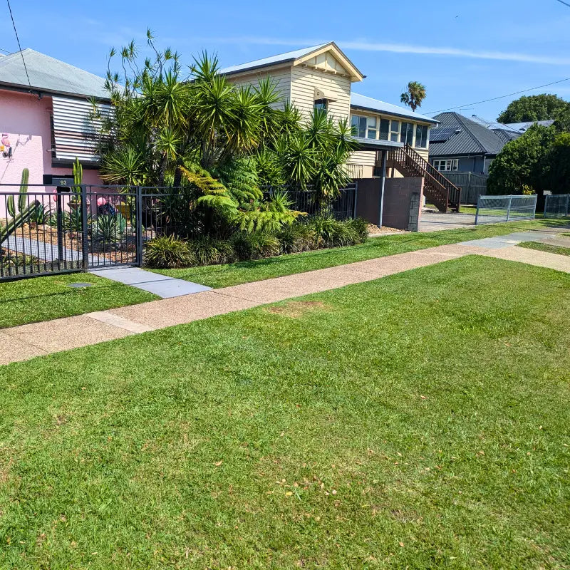 The Green Standard lawn and garden work in Brisbane