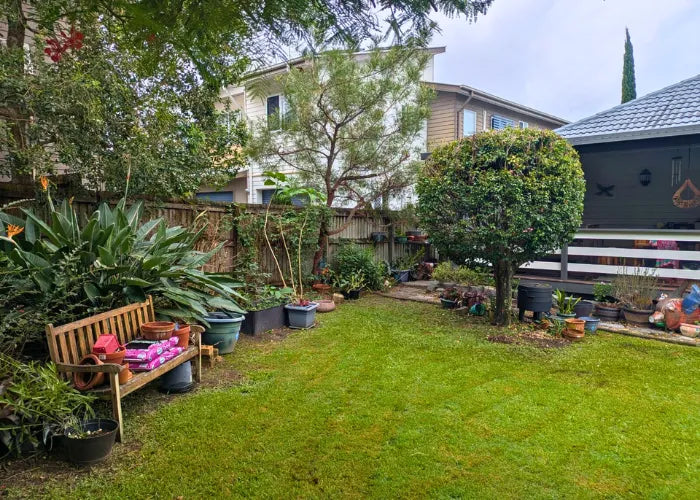 Lawn and garden after maintenance