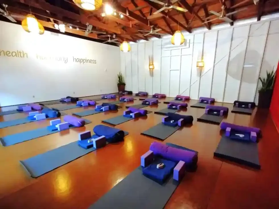 The VIROGA Yoga studio in Brighton set with mats and bolsters