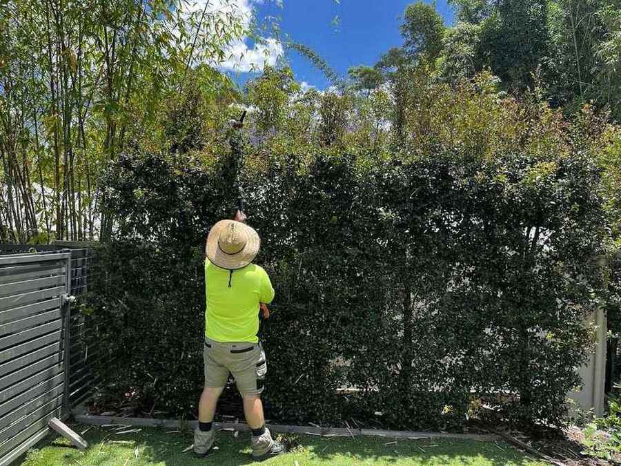 Freshly mowed lawn by Winning Lawns and Gardens