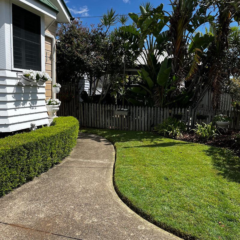 Neat hedge trimming by Winning Lawns and Gardens