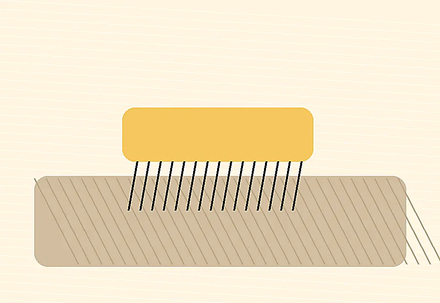 Dry Carpet Cleaning service visual