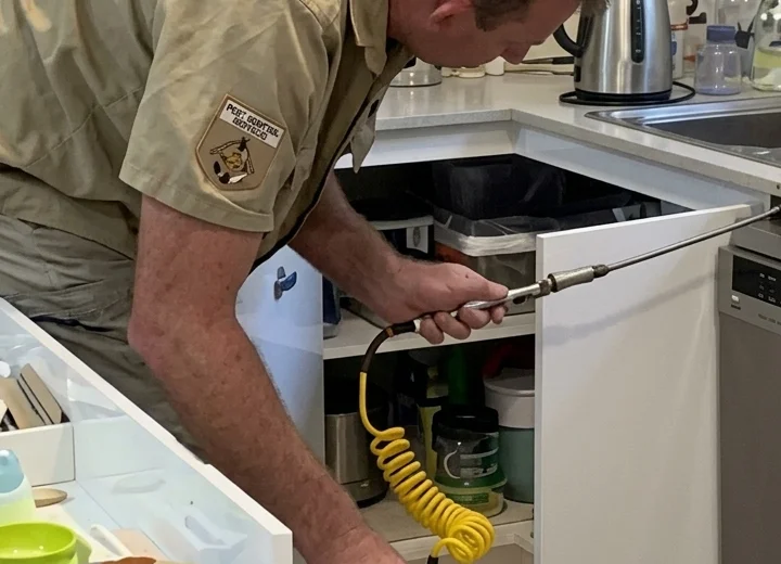 Pest Control