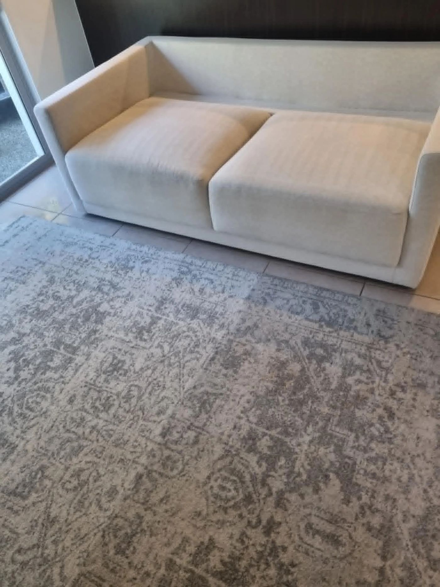 Freshly steam-cleaned sofa and rug